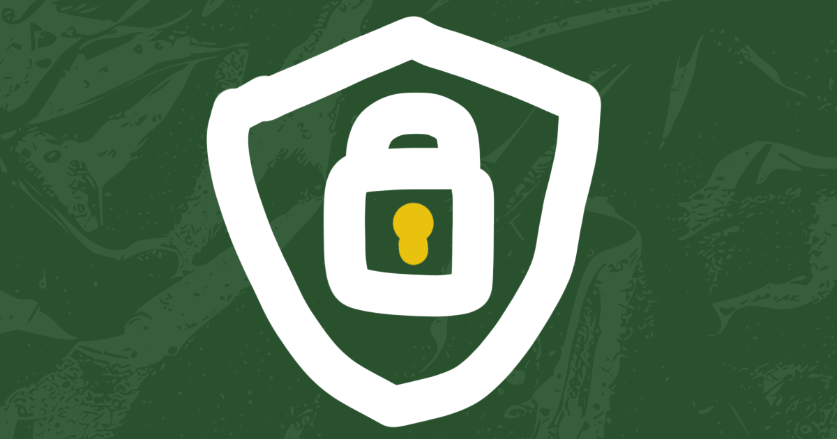 SMS Encryption in text.email: Keep Your Sensitive Data Secure